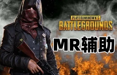 绝地求生MR辅助